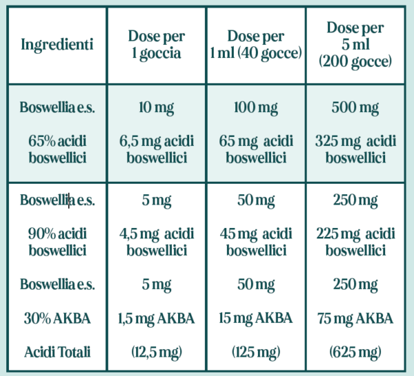 ARTRORESIN 100ml - immagine 2