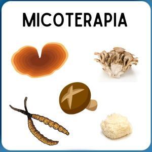 micoterapia
