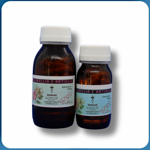 BOSWELLIA  E ARTIGLIO